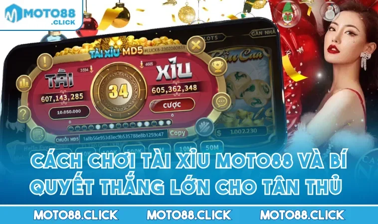 Cách Chơi Tài Xỉu MOTO88 Và Bí Quyết Thắng Lớn Cho Tân Thủ