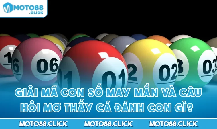 Giải Mã Con Số May Mắn Và Câu Hỏi Mơ Thấy Cá Đánh Con Gì?