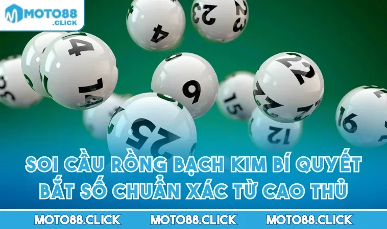 Soi Cầu Rồng Bạch Kim Bí Quyết Bắt Số Chuẩn Xác Từ Cao Thủ
